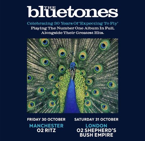 The Bluetones october 2026 tour poster