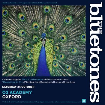 The Bluetones at O2 Academy on 24 October 2026 gig poster