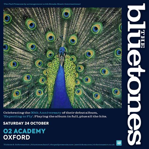 The Bluetones at O2 Academy on 24 October 2026 gig poster