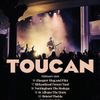 TOUCAN gig poster