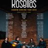 Rosellas gig poster