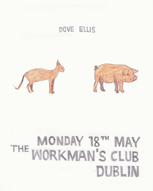 Dove Ellis at The Workman's Club on 18 May 2026 gig poster