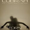 TORN TOUR COBRAH gig poster