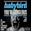 YOU'RE GORGEOUS babybird, Paul Thomas Saunders gig poster