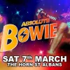 Absolute Bowie gig poster