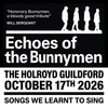 Echoes of the Bunnymen gig poster