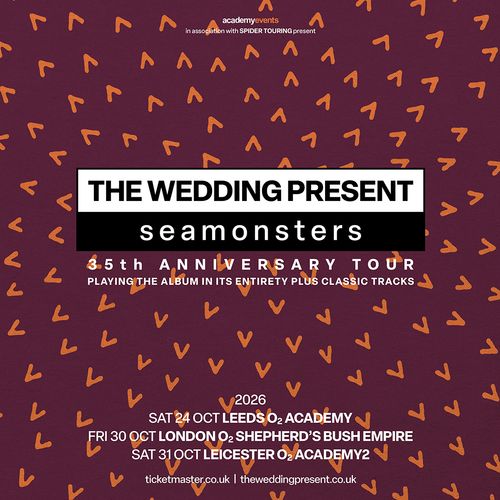 THE WEDDING PRESENT seamonsters 35th ANNIVERSARY TOUR THE WEDDING PRESENT october 2026 tour poster