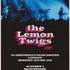 the Lemon Twigs gig poster