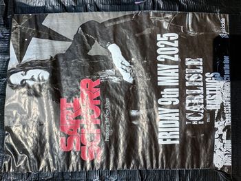 Sari Schorr at The Carlisle on 9 May 2025 gig poster