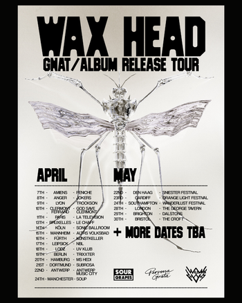 WAX HEAD GNAT/ALBUM RELEASE TOUR Wax Head april 2026 to may 2026 tour poster