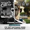 Co-Headline Tour stiffbizkit, Fell Out Boy, Meteora, The Black Parade gig poster