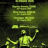 Babyshambles in Ireland 2026 Babyshambles, Rebldash, Junior Brother gig poster