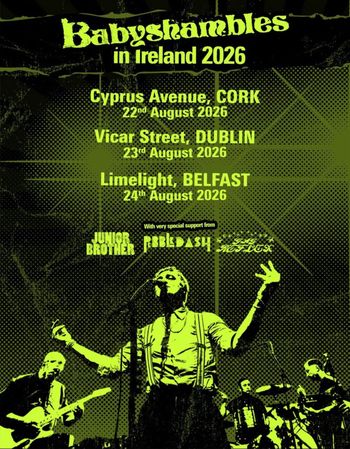 Babyshambles in Ireland 2026 Babyshambles, Rebldash, Junior Brother august 2026 tour poster