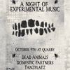 A NIGHT OF EXPERIMENTAL MUSIC Tanzplatz, Domestic Partners, Dead Animals, Steel gig poster