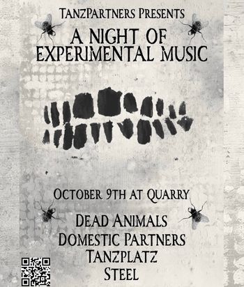 A NIGHT OF EXPERIMENTAL MUSIC Tanzplatz, Domestic Partners, Dead Animals, Steel at Quarry on 9 October 2026 gig poster
