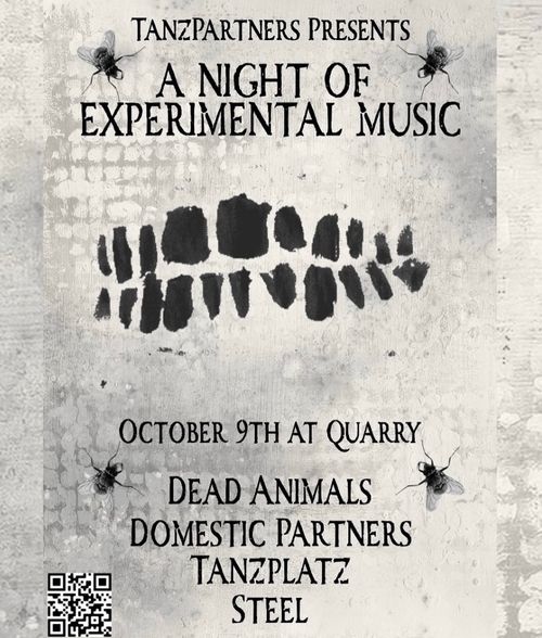 A NIGHT OF EXPERIMENTAL MUSIC Tanzplatz, Domestic Partners, Dead Animals, Steel at Quarry on 9 October 2026 gig poster