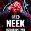 NEEK Victor Krum, Yaris gig poster