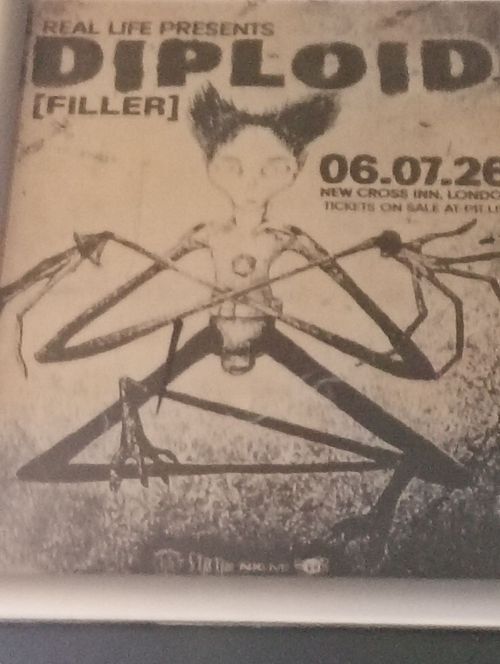 DIPLOID [FILLER] Diploid at NEW CROSS INN on 6 July 2026 gig poster
