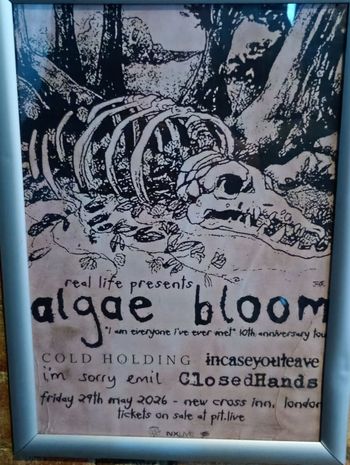 algae bloom - 'I am everyone I've ever met' 10th anniversary tour Closed Hands, I'm Sorry Emil, COLD HOLDING, incaseyouleave, Algae Bloom at new cross inn on 29 May 2026 gig poster