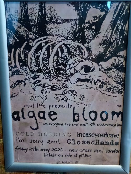 algae bloom - 'I am everyone I've ever met' 10th anniversary tour Closed Hands, I'm Sorry Emil, COLD HOLDING, incaseyouleave, Algae Bloom at new cross inn on 29 May 2026 gig poster