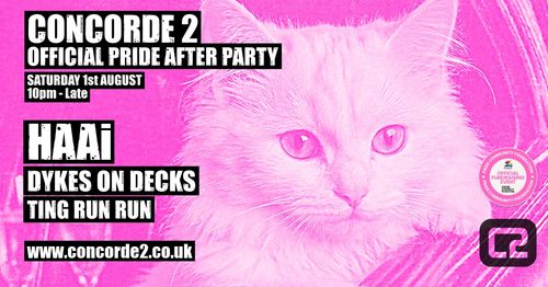 OFFICIAL PRIDE AFTER PARTY HAAi, TING RUN RUN, DYKES ON DECKS at CONCORDE 2 on 1 August 2026 gig poster