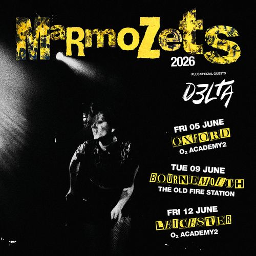 Mr. Mozets 2026 MrmoZets, D3LTA june 2026 tour poster