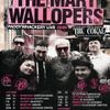 The Mary Wallopers Paddywhackery Live 2026 The Coral, The Mary Wallopers gig poster