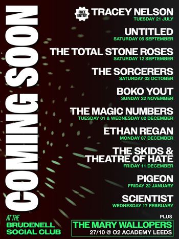COMING SOON Tracey Nelson, Boko Yout, The Magic Numbers, Pigeon, The Mary Wallopers, The Total Stone Roses, Scientist, THE SKIDS & THEATRE OF HATE, Ethan Regan, The Sorcerers, Untitled july 2026 to february 2027 tour poster