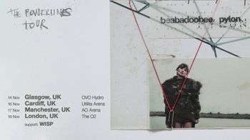 beabadoobee pylon - The Powerlines Tour Pylon, beabadoobee november 2024 tour poster