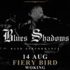 Blues Shadows Ross Harding gig poster