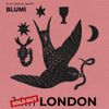 SYD MATTERS Blumi gig poster