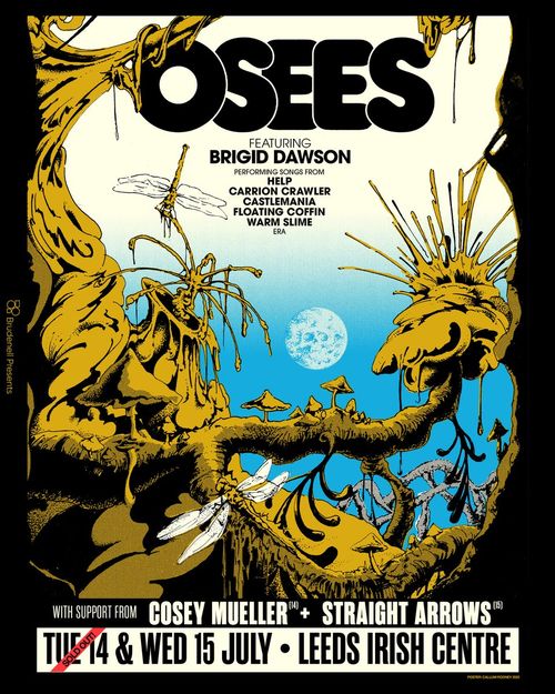 OSEES Brigid Dawson, Cosey Mueller, Straight Arrows july 2026 tour poster