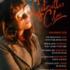 Gabriella Cilmi gig poster
