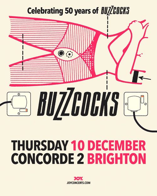 BUZZCOCKS at Concorde 2 on 10 December 2026 gig poster