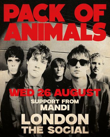 PACK OF ANIMALS Mandi at The Social on 26 August 2026 gig poster