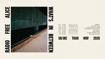 Radio Free Alice - What's In Between UK/IRE Tour Nov 2026 Radio Free Alice at Button Factory on 24 November 2026 gig poster