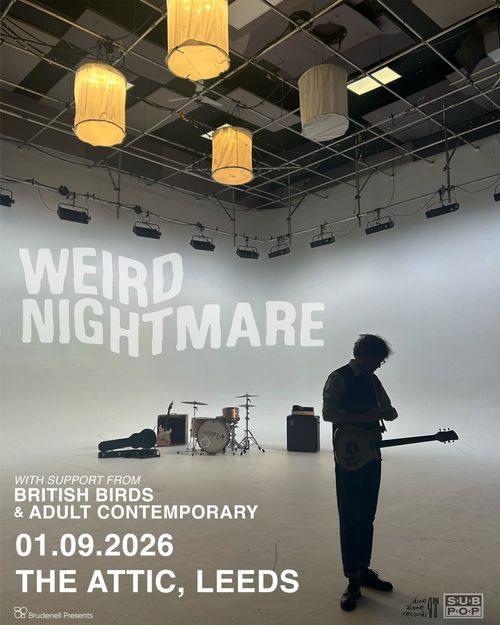 WEIRD NIGHTMARE ADULT CONTEMPORARY, British Birds at THE ATTIC on 1 September 2026 gig poster