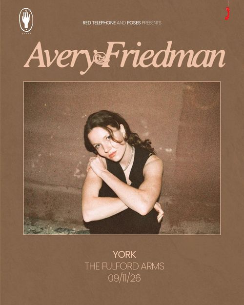 Avery Friedman at The Fulford Arms on 9 November 2026 gig poster