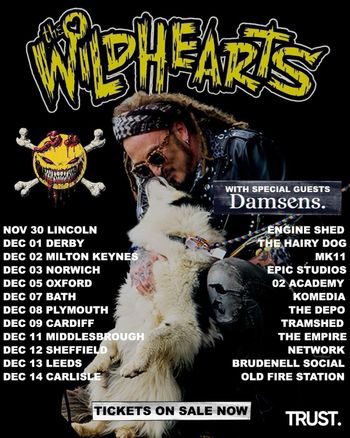 The Wildhearts Damsens november 2026 to december 2026 tour poster