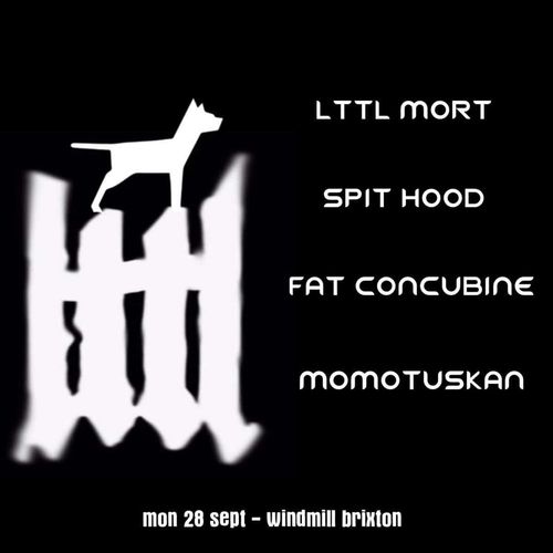 LTTL MORT, SPIT HOOD, FAT CONCUBINE, MOMOTUSKAN lttl mort, MOMOTUSKAN, SPIT HOOD, FAT CONCUBINE at Windmill Brixton on 28 September 2026 gig poster