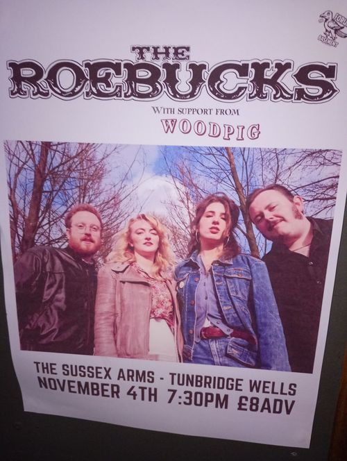 THE ROEBUCKS Woodpig at THE SUSSEX ARMS on 4 November 2026 gig poster
