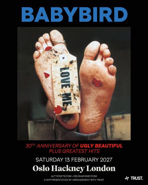 BABYBIRD - 30TH ANNIVERSARY OF UGLY BEAUTIFUL PLUS GREATEST HITS Babybird at Oslo Hackney on 13 February 2027 gig poster
