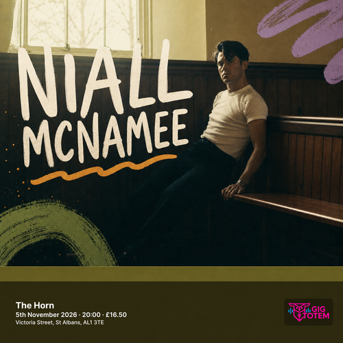 Niall McNamee at The Horn on 5 November 2026 gig poster