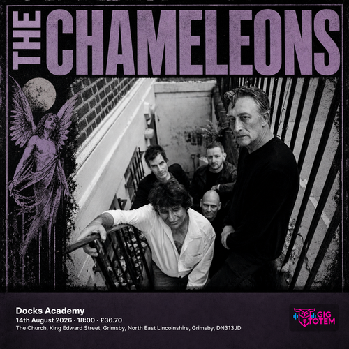 Chameleons at Docks Academy on 14 August 2026 gig poster