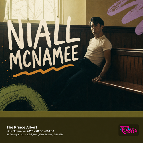 Niall McNamee at The Prince Albert on 19 November 2026 gig poster