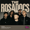 The Rosadocs gig poster