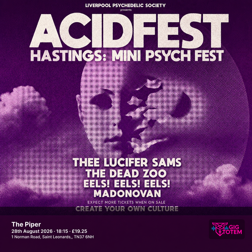 ACIDFEST HASTINGS: MINI PSYCH FEST at The Piper on 28 August 2026 gig poster