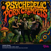 Psychedelic Porn Crumpets gig poster